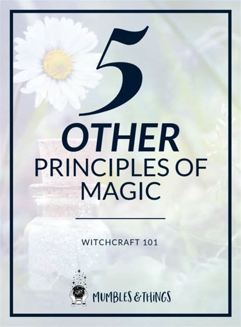 Explore the Ancient Art of Wiccan Magic with These Top-Rated Books
